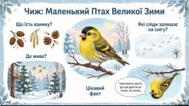 ���� �����: �� ����� ������ ������